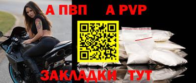 прущие грибы Тула