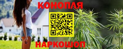 прущие грибы Тула