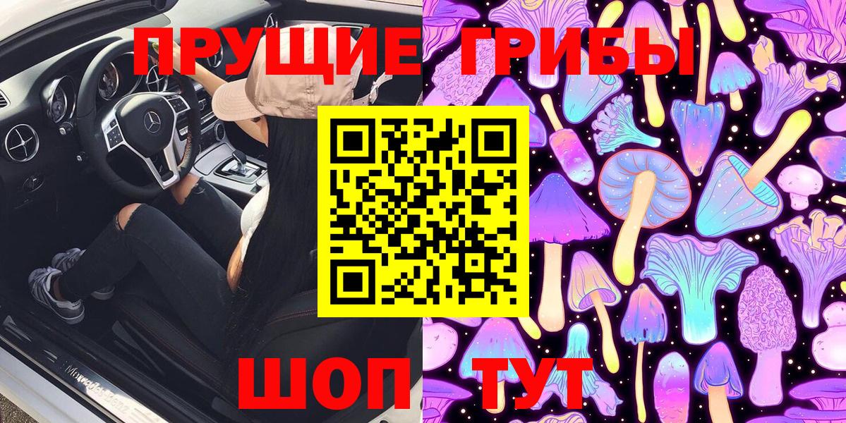 Псилоцибиновые грибы Psilocybe Мытищи