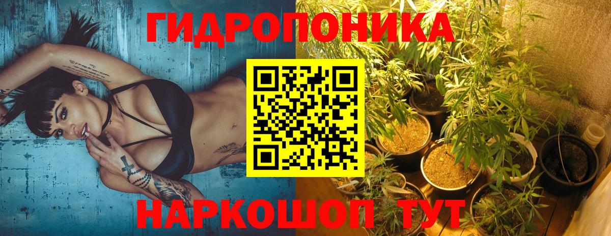 Конопля марихуана  Канабис семена  Вход с VPN  Мытищи  Канабис план 